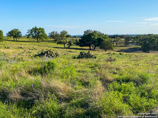 140 Cattlemans Crossing Property Photo 13