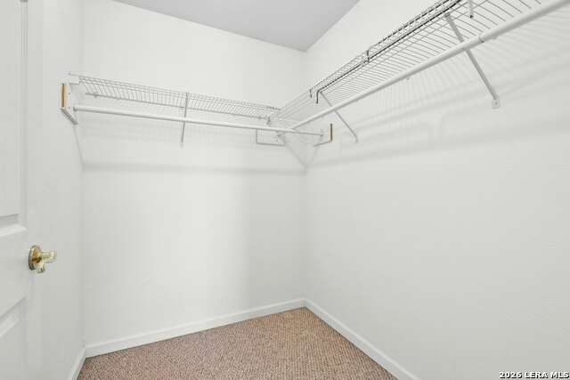 111 Janine Property Photo 15
