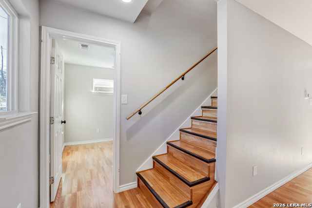 323 Moselle Property Photo 13