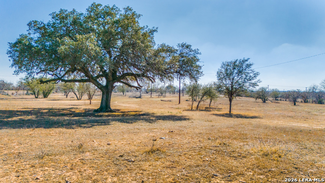 2565 Wright Carpenter Property Photo 6