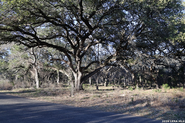Tbd County Road 241 Property Photo 2