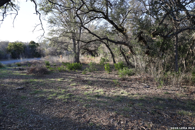 Tbd County Road 241 Property Photo 6