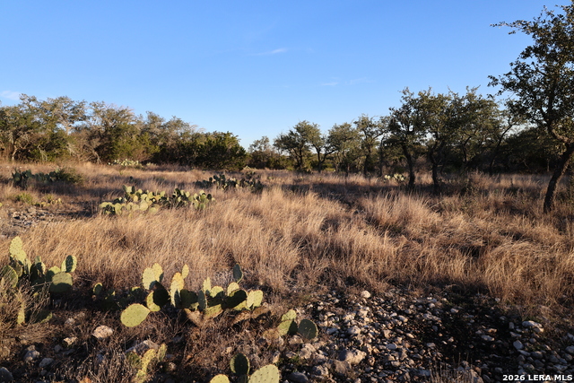 Tbd County Road 241 Property Photo 7