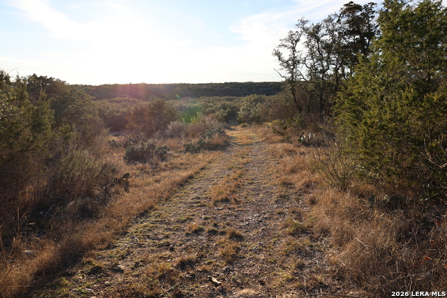Tbd County Road 241 Property Photo 8
