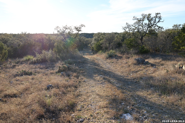 Tbd County Road 241 Property Photo 9