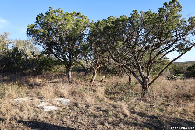 Tbd County Road 241 Property Photo 11