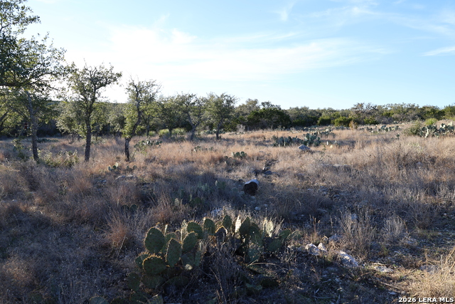Tbd County Road 241 Property Photo 12