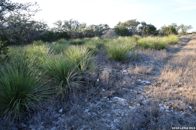 Tbd County Road 241 Property Photo 13