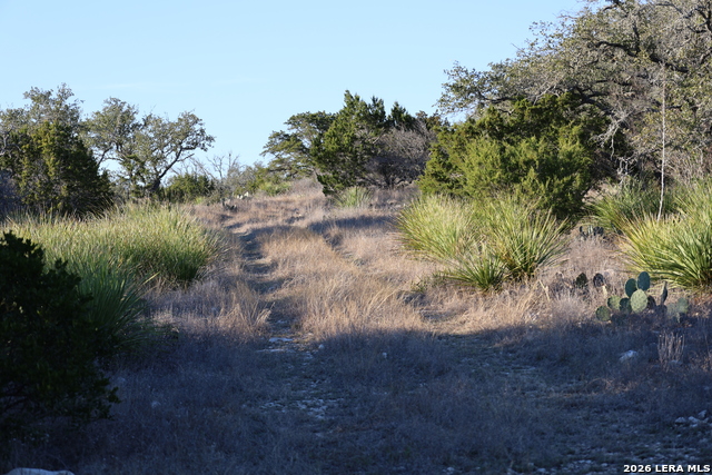 Tbd County Road 241 Property Photo 14