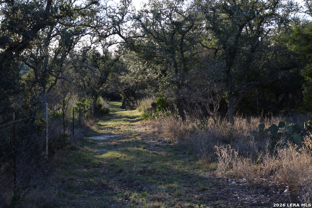 Tbd County Road 241 Property Photo 15