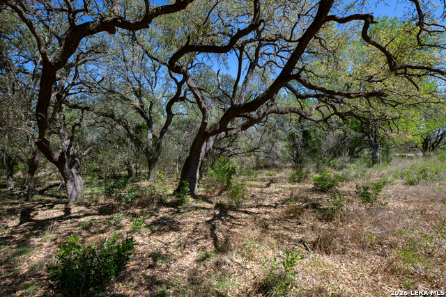 Tbd County Road 241 Property Photo 16