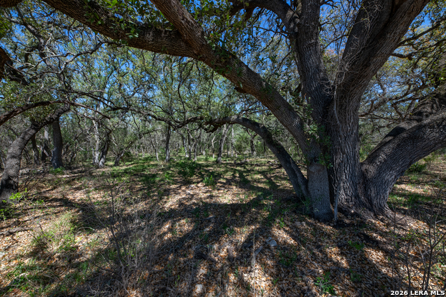 Tbd County Road 241 Property Photo 17