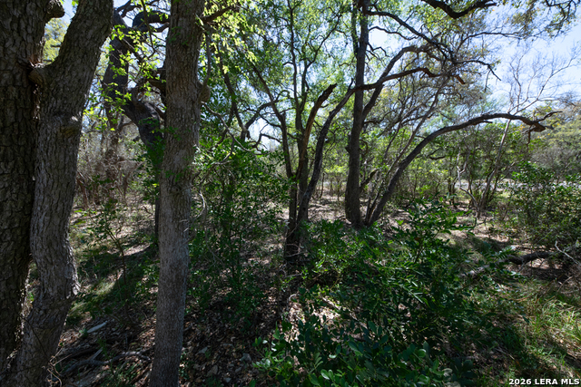 Tbd County Road 241 Property Photo 18