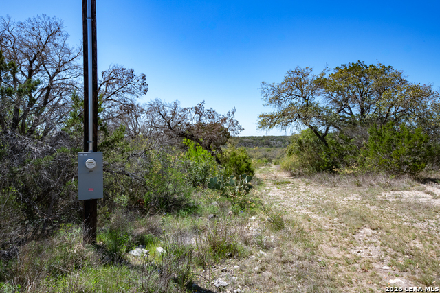 Tbd County Road 241 Property Photo 19
