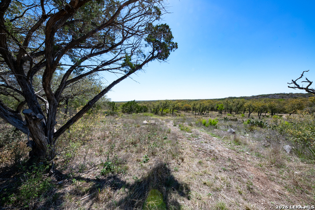 Tbd County Road 241 Property Photo 21