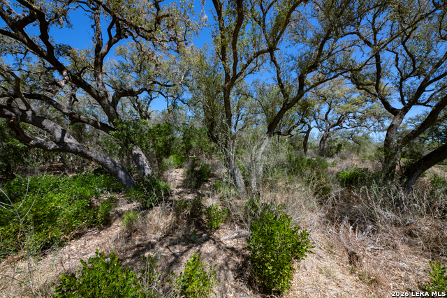 Tbd County Road 241 Property Photo 22