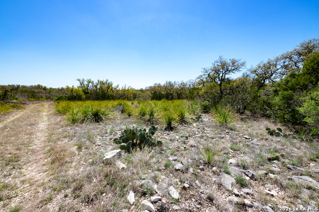 Tbd County Road 241 Property Photo 25