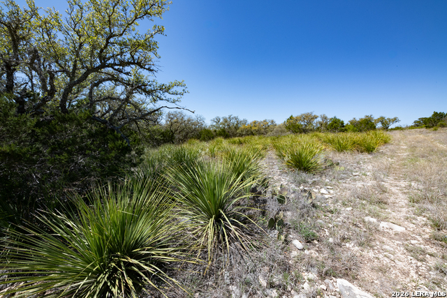 Tbd County Road 241 Property Photo 26