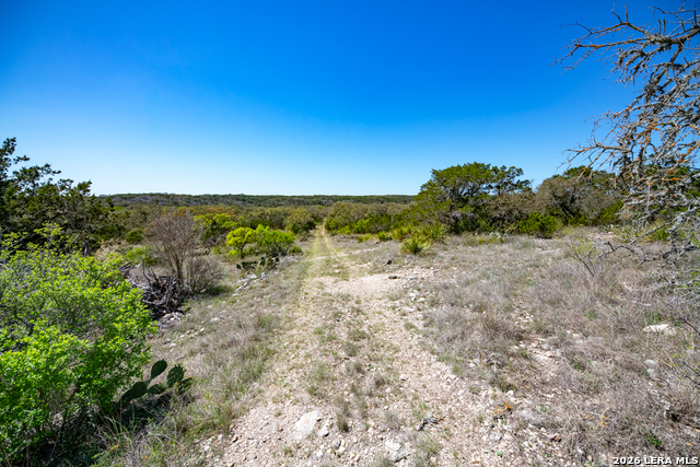 Tbd County Road 241 Property Photo 27