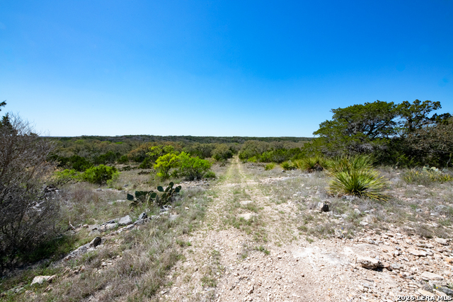 Tbd County Road 241 Property Photo 31