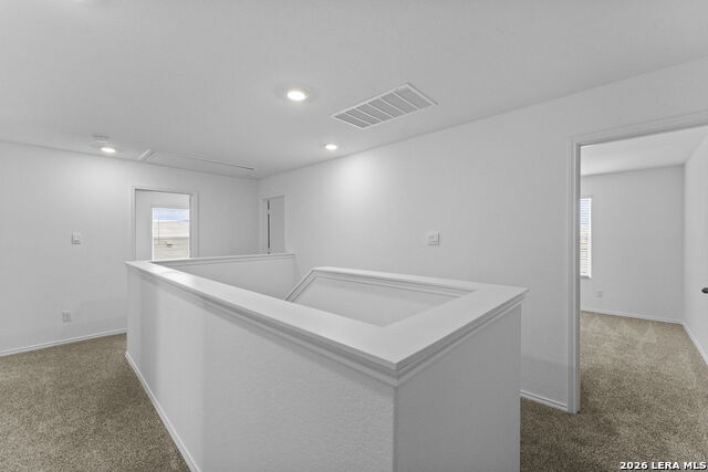 15515 Mint Patch Meadow Property Photo 13