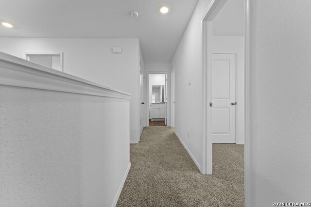 15515 Mint Patch Meadow Property Photo 18