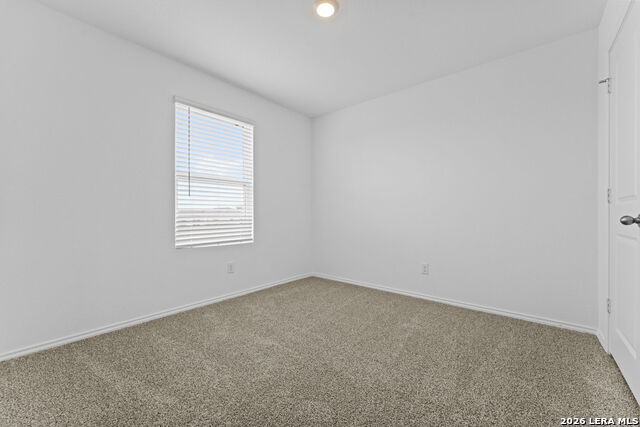 15515 Mint Patch Meadow Property Photo 21