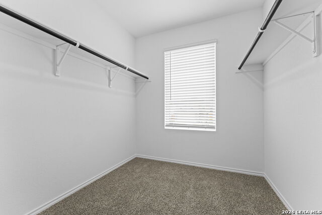 15515 Mint Patch Meadow Property Photo 29