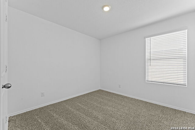 15507 Mint Patch Meadow Property Photo 13