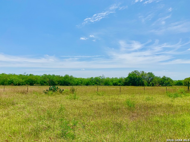 1152 A County Road 227 Property Photo 6