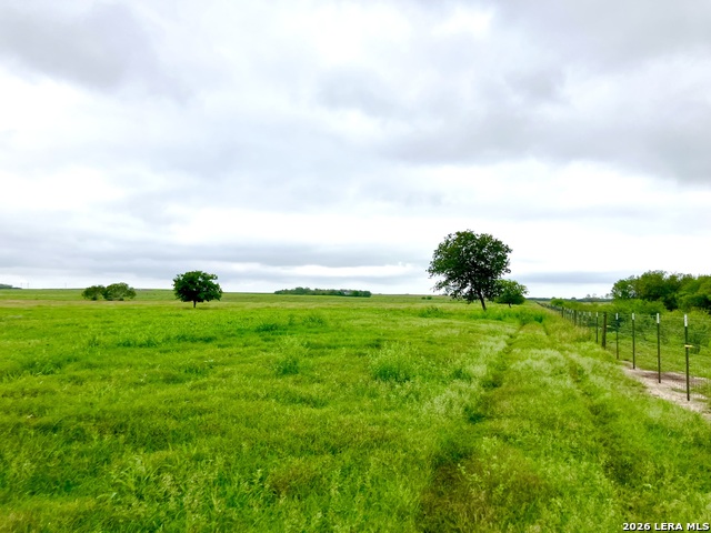 1152 A County Road 227 Property Photo 12