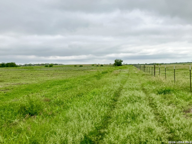 1152 A County Road 227 Property Photo 17