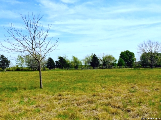1152 A County Road 227 Property Photo 21