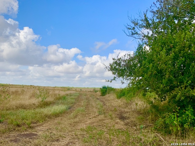 1152 A County Road 227 Property Photo 29