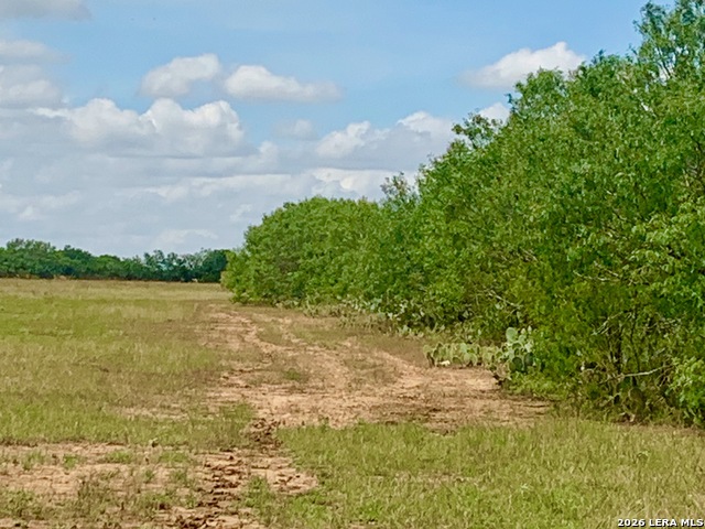 1152 A County Road 227 Property Photo 30