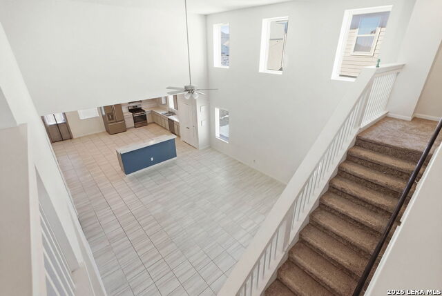 4823 Belgravia Property Photo 15