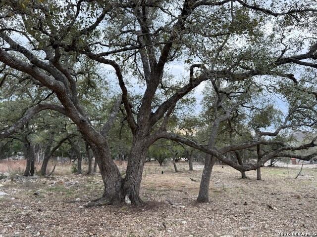 104 C Chisholm Property Photo 2