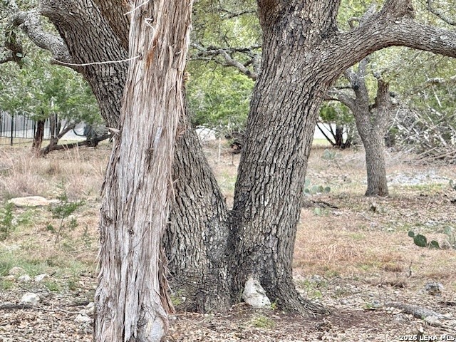 104 C Chisholm Property Photo 11