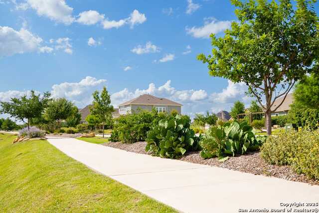12367 Lost Petal Property Photo 26