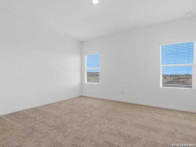 12914 Rosemary Bnd Property Photo 12