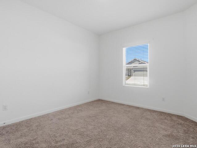 12914 Rosemary Bnd Property Photo 19