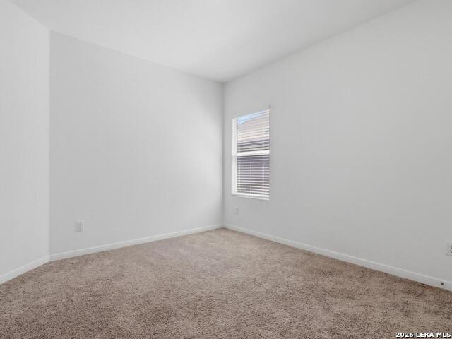 12914 Rosemary Bnd Property Photo 22