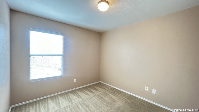 12227 Autumn Cherry Property Photo 19