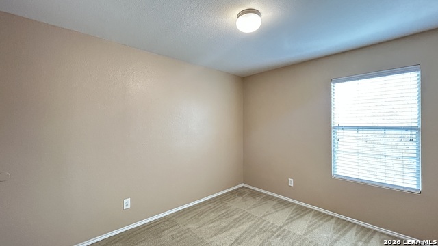 12227 Autumn Cherry Property Photo 25