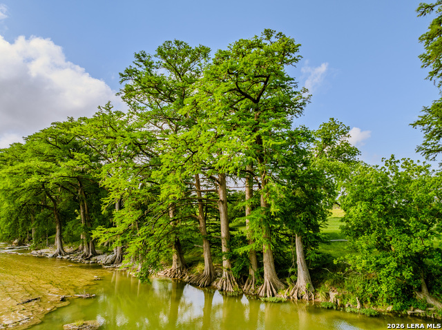 0000 Cypress River Ranch Property Photo 9
