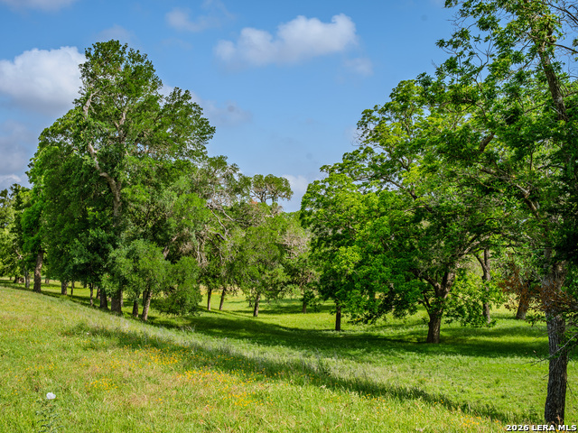 0000 Cypress River Ranch Property Photo 10