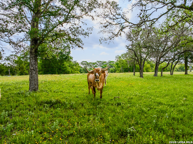 0000 Cypress River Ranch Property Photo 12