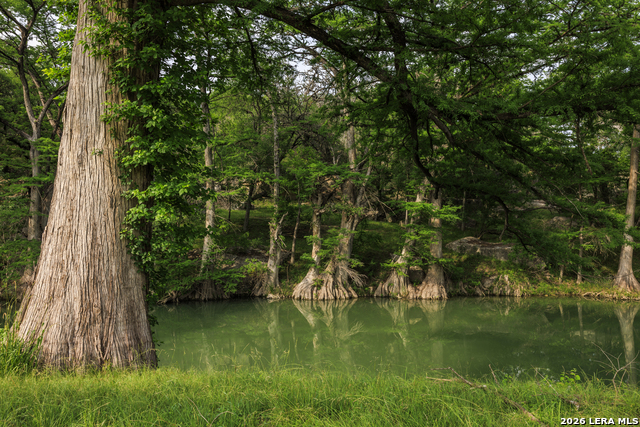 0000 Cypress River Ranch Property Photo 15