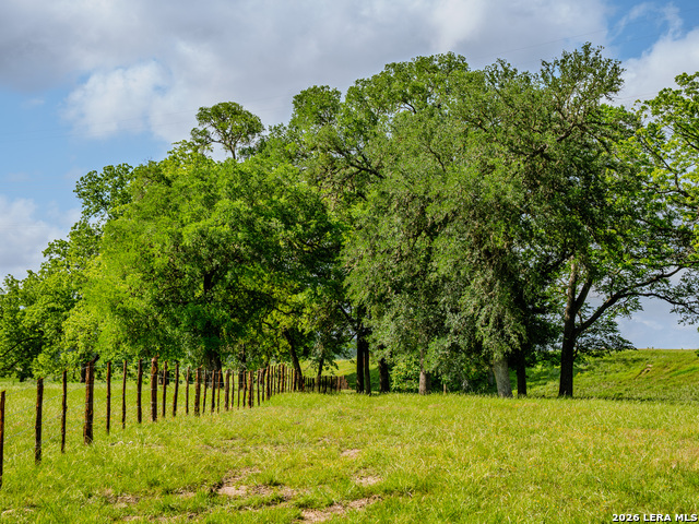 0000 Cypress River Ranch Property Photo 16