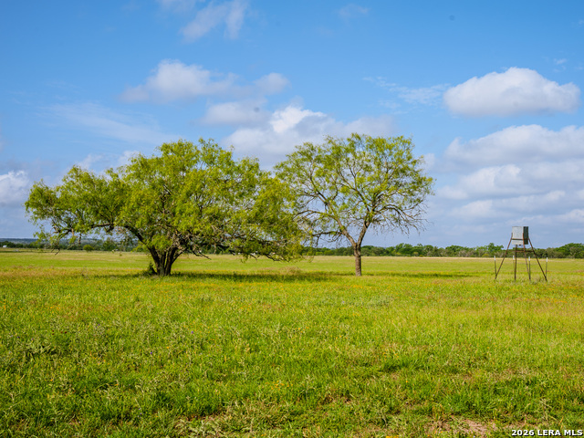0000 Cypress River Ranch Property Photo 26